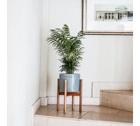 Ivyline Anzio Ceramic Planter - Warm Grey