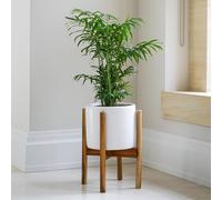 Ivyline Anzio Ceramic Planter- White