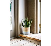 Ivyline Bamboo Grey Planter D19Cm