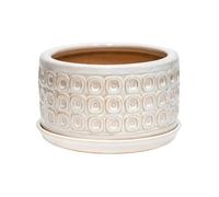 Ivyline Bonsai Planter - Cream