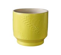 Ivyline Botanist Leaf Embossed Planter - Lime