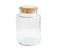 Ivyline Bottle Shape Large Terrarium DIY Kit - Large