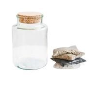 Ivyline Bowl Shape DIY Terrarium Kit in Medium - Waterproof Succulents/Flowers Plant House - Indoor Home Centrepiece - H26.5 x W19cm