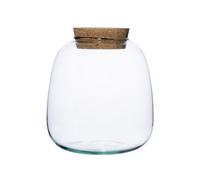 Ivyline Bowl Shape Medium Terrarium DIY Kit H20cm D19cm- Perfect for Gifting in Clear Ivyline Clear