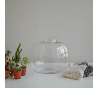 Ivyline Bowl Shape Medium Terrarium DIY Kit H20cm D19cm