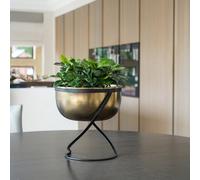Ivyline Brass Metal Round Planter On Black Metal Stand
