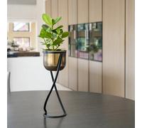 Ivyline Brass Tall Metal Round Planter On Black Metal Stand