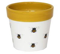 Ivyline Cacti Planter Bumble Bee H10cm D10Cm, White/Mustard