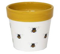 Ivyline Cacti Planter Bumble Bee H13cm D13Cm, White/Mustard