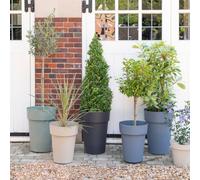Ivyline Cleo High Plant Pot H55cm Oat in Cream Ivyline Cream