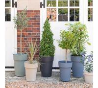 Ivyline Cleo High Planter H55cm Anthracite in Black Ivyline Black