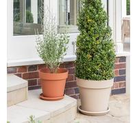 Ivyline Cleo Plant Pot D40cm Oat With Wheels in Cream Ivyline Cream