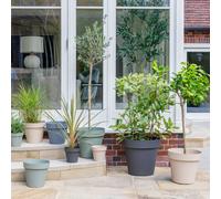 Ivyline Cleo Planter D40cm Anthracite With Wheels in Black Ivyline Black