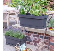 Ivyline Cleo Rectangle Flower Box D60cm Anthracite With Wheels in Jet Black Ivyline Jet Black