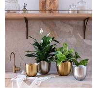 Ivyline Eva Metal Tulip Silver Plant Pot Set of 2 Ivyline Silver