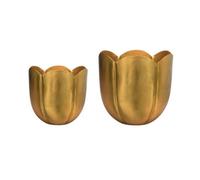 Ivyline Eva Tulip Planter (Set Of 2) - Metal - L18 X W18 X H17 Cm - Gold