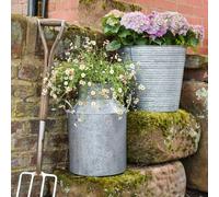 Ivyline Galvanised Milk Churn