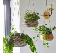 Ivyline Hanging Seagrass Planter Set of 2