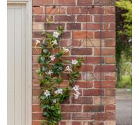 Ivyline Herringbone Trellis Zinc H120cm W60cm| Online Best Seller | Premium Quality | 2 year warranty | Hand Made | Frost proof | Size: Medium Ivyline Silver M
