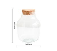 Ivyline Indoor Angluar Glass Small Terrarium Diy Kit H22Cm D17Cm