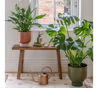Ivyline Indoor Austin Dual Green Metal Planters Set of 2 *extra large* Ivyline Green One Size