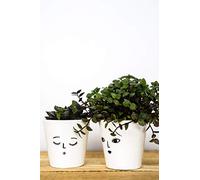Ivyline Indoor Cacti Face Planter 'Wakey' Size: H7 x W7 x D7cm