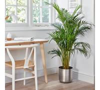 Ivyline Indoor Chelsea Pewter Plant Pot, H28cm x D28cm in Silver Ivyline Silver