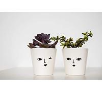 Ivyline Indoor Face Cacti Planter 'Cheeky', Size: H7 x W7 x D7cm