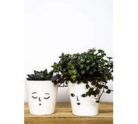 Ivyline Indoor Face Cacti 'Sleepy' Planter, Size: H7 x W7 x D7cm