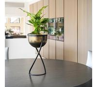 Ivyline Indoor Kensington Brass Metal Round Planter on Stand - Lightweight, Stylish & Waterproof - Decorative Flowers Herbs Plant Pot - H42cm x W14cm