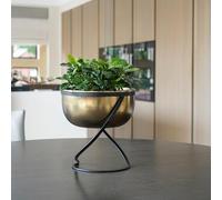 Ivyline Indoor Kensington Brass Metal Round Planter on Stand - Lightweight, Stylish & Waterproof - Decorative Flowers Herbs Plant Pot - H30cm x W28cm