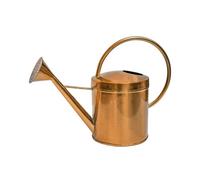 Ivyline Indoor Kensington Traditional Copper Watering Can - Metal - L40 X W40 X H25 Cm - Copper
