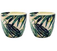 Ivyline Indoor Monza Botanical Fern Planter, Cream/Green, 13cm Diameter (Pack of 2)