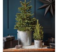 Ivyline Indoor Planter with Star in Galvanised Steel H23Cm W23Cm in Grey Ivyline Grey