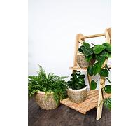 Ivyline Indoor Seagrass Plant Pot Cover Natural, Nested Pack of 2,Size: H22 x W30 x D30cm, H17 x W23 x D23cm