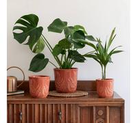 Ivyline Kew Embossed Fern Rust Planter H17cm D18cm in Burnt Orange Ivyline Burnt Orange