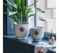 Ivyline Kew Leaf Embossed Ivory Cork Plant Pot H22cm D23cm in White | Size: Medium Ivyline White Medium
