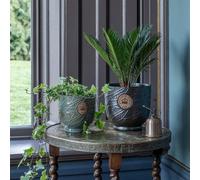 Ivyline Kew Leaf Embossed Moss Cork Plant Pot H22cm D23cm in Green | Size: Medium Ivyline Green Medium