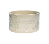 Ivyline Kew Sago Palm Bowl - Stoneware - L24 X W24 X H14 Cm - Ivory