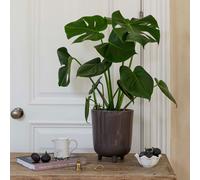 Lecce Speckled Plant Pot Plum Pudding (Purple)