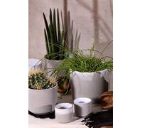 Ivyline Leon Cement Planter D20.5Cm, One Size, 99420LC