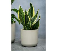 Ivyline Lisbon Planter Light Grey D24Cm