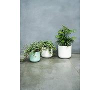 Ivyline Lisbon Planter White D15Cm