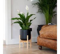 Ivyline Lisbon Pot & Stand Anthracite, D20.5cm in Black Ivyline Black