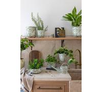 Ivyline Maisie Vintage Olive Metal Hanging Plant Pot H18.5cm D19cm in Green Ivyline Green