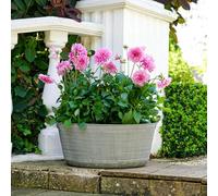 Outdoor Matlock Oval Planter, H28cm x W48.5cm Ivyline Mid Grey One Size