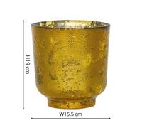 Ivyline Metallic Gold Glass Holder H19Cm W15.5Cm