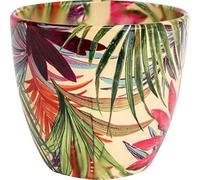 Ivyline Monza Tropical Fuchsia Planter 15.5Cm