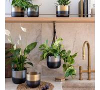 Ivyline Oscar Two Tone Gold Metal Planter Set of 2 Ivyline Gold