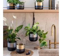 Ivyline Oscar Two Tone Silver Metal Planter Set of 2 Ivyline Silver